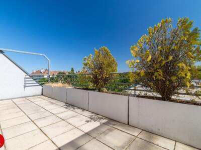 Terrassenwohnung kaufen in 2320 Schwechat (Bild 2)