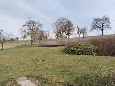 Grundstück kaufen in 4502 Sankt Marien (Bild 4)