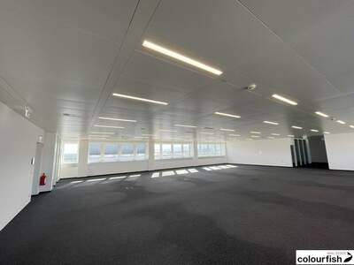 Gewerbeobjekt mieten in 2351 Wiener Neudorf (Bild 2)