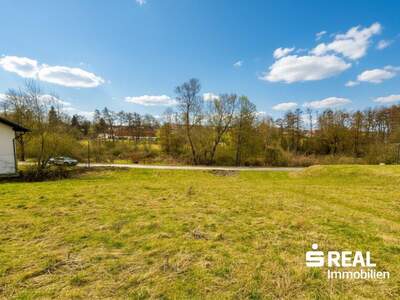 Grundstück kaufen in 4622 Eggendorf (Bild 3)