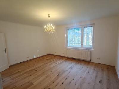 Mietwohnung in 1130 Wien (Bild 1)