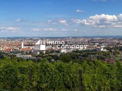 Grundstück kaufen in 1190 Wien