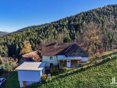 Gewerbeobjekt kaufen in 8570 Kleinwöllmiß (Bild 5)