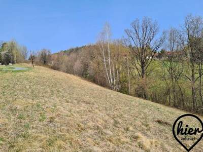 Grundstück kaufen in 8524 Deutschlandsberg (Bild 4)