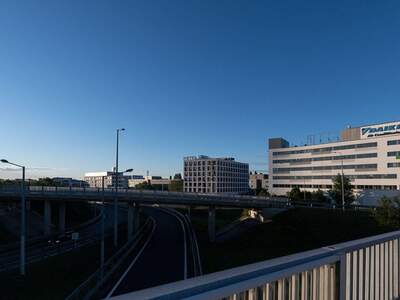 Gewerbeobjekt mieten in 2345 Brunn (Bild 3)