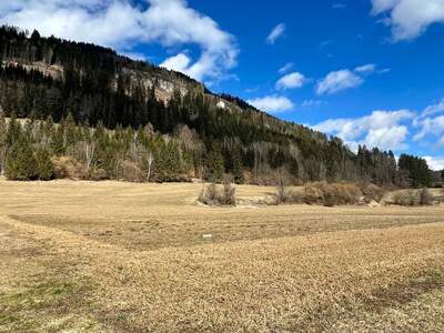 Gewerbeobjekt kaufen in 8850 Sankt Egidi (Bild 2)