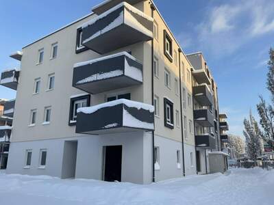 Wohnung mieten in 2700 Wiener Neustadt