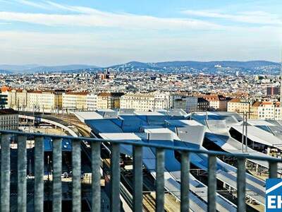 Terrassenwohnung mieten in 1100 Wien (Bild 5)