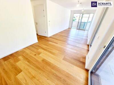 Terrassenwohnung kaufen in 2391 Kaltenleutgeben (Bild 5)