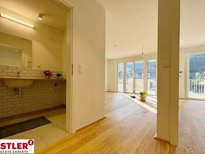 Wohnung kaufen in 2371 Hinterbrühl