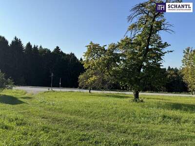 Grundstück kaufen in 8074 Grambach (Bild 5)