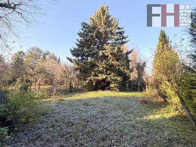 Haus kaufen in 2102 Bisamberg (Bild 2)