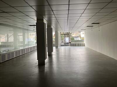 Gewerbeobjekt mieten in 5020 Salzburg (Bild 2)