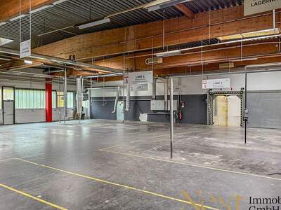 Gewerbeobjekt mieten in 4600 Thalheim (Bild 3)