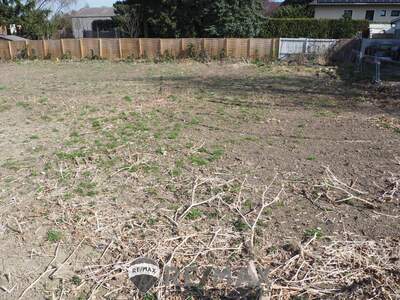 Grundstück kaufen in 3433 Königstetten (Bild 1)