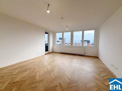 Terrassenwohnung mieten in 1030 Wien (Bild 1)