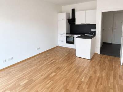 Wohnung mieten in 8401 Kalsdorf (Bild 2)