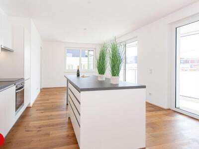 Terrassenwohnung mieten in 2320 Schwechat (Bild 3)