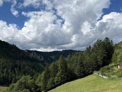 Anlageobjekt kaufen in 2680 Semmering