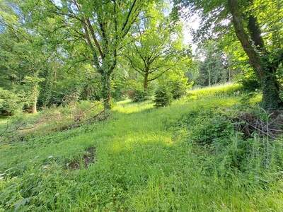 Gewerbeobjekt kaufen in 8582 Rosental (Bild 5)