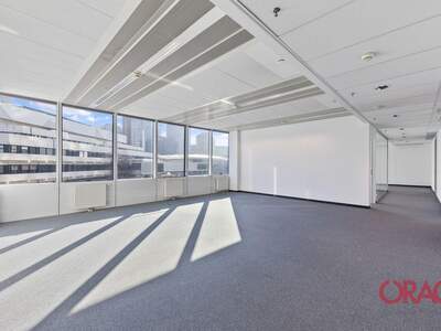 Gewerbeobjekt mieten in 1220 Wien (Bild 5)