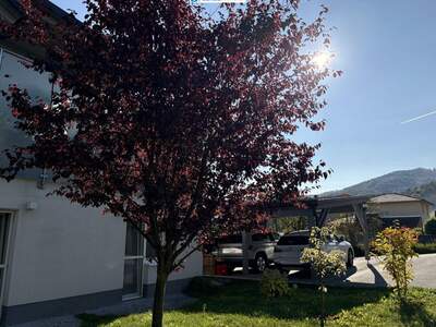Haus mit Garten kaufen in 8111 Gratwein (Bild 5)