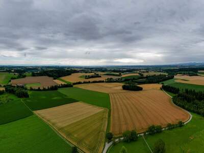 Gewerbeobjekt kaufen in 4600 Gunskirchen (Bild 5)