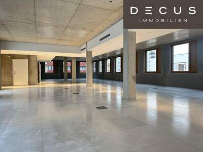 Büro / Praxis mieten in 1230 Wien (Bild 3)