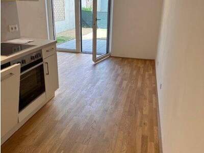 Terrassenwohnung mieten in 1220 Wien (Bild 2)