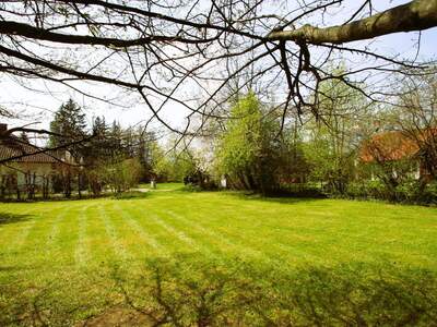 Grundstück kaufen in 2531 Gaaden (Bild 1)