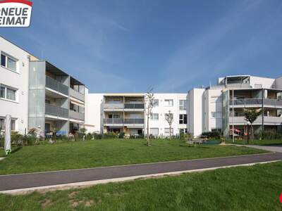 Wohnung mieten in 4311 Schwertberg (Bild 1)