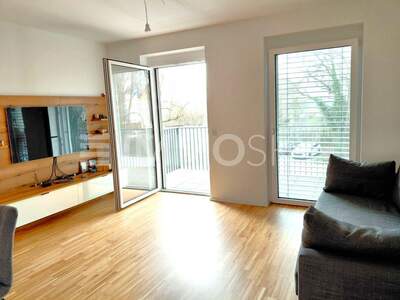 Terrassenwohnung kaufen in 4053 Haid (Bild 1)