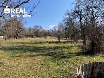 Haus kaufen in 7431 Bad Tatzmannsdorf (Bild 4)