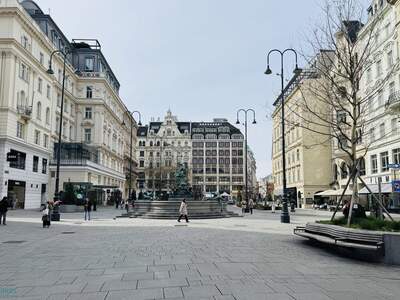 Gewerbeobjekt mieten in 1010 Wien (Bild 1)