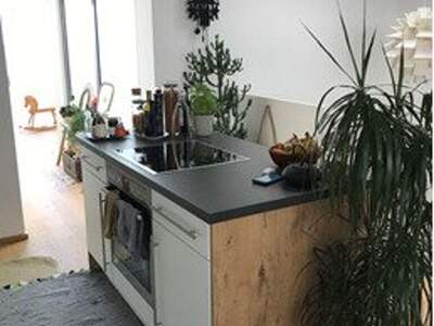 Wohnung mieten in 4910 Ried (Bild 4)