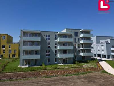 Wohnung mit Balkon kaufen in 4481 Asten (Bild 1)