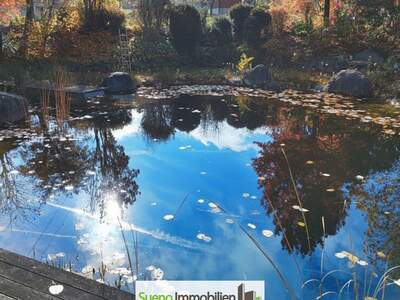 Haus kaufen in 4760 Raab (Bild 5)