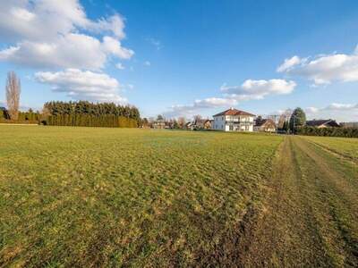 Grundstück kaufen in 8430 Leibnitz