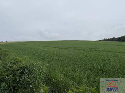 Gewerbeobjekt kaufen in 3062 Doppel