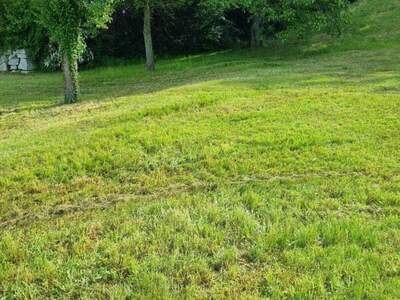 Grundstück kaufen in 4111 Walding (Bild 4)