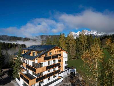 Terrassenwohnung kaufen in 8972 Ramsau (Bild 1)