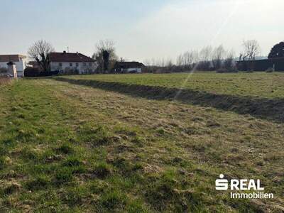Grundstück kaufen in 4070 Pupping (Bild 1)