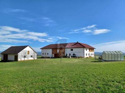 Bauernhaus kaufen in 4084 Steinzen