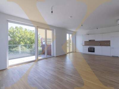 Terrassenwohnung mieten in 4020 Linz (Bild 1)