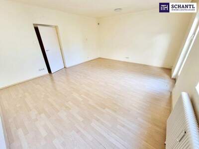 Terrassenwohnung kaufen in 1230 Wien (Bild 4)