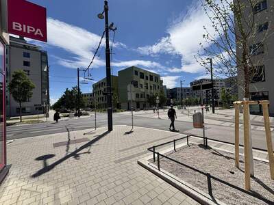 Gewerbeobjekt mieten in 1020 Wien (Bild 2)