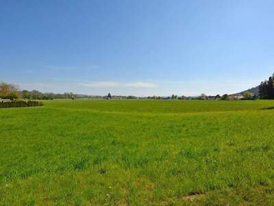 Grundstück kaufen in 5223 Paffstätt