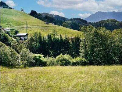 Grundstück kaufen in 5422 Bad Dürrnberg