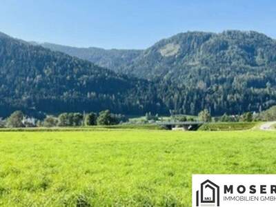 Gewerbeobjekt kaufen in 8842 Katsch (Bild 4)