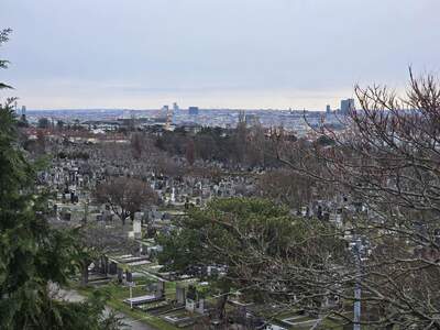 Dachgeschosswohnung provisionsfrei mieten in 1140 Wien